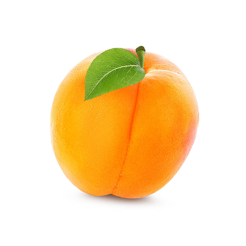 Apricot